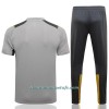 Camiseta De Entrenamiento BVB Borussia Dortmund 2022-23 Gris Claro - Hombre